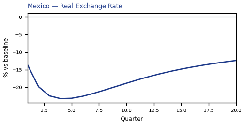 Real Exchange Rate