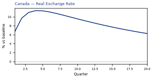 Real Exchange Rate