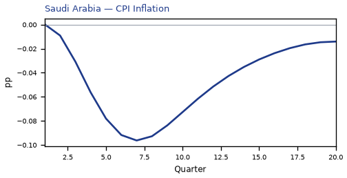 CPI Inflation