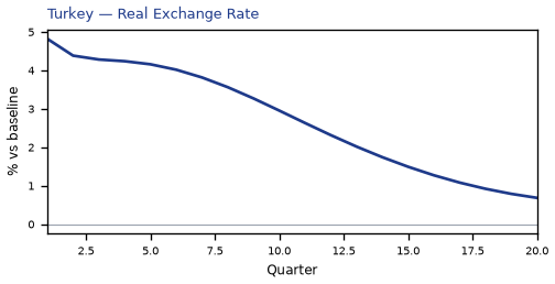 Real Exchange Rate