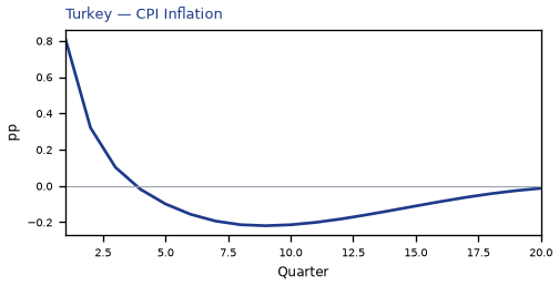 CPI Inflation