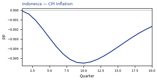 CPI Inflation