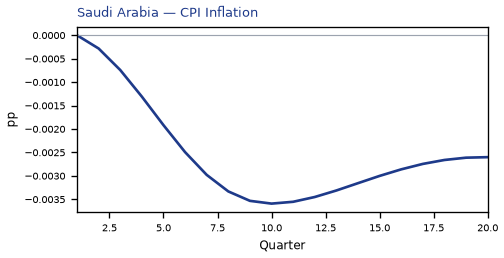 CPI Inflation