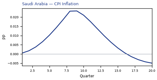 CPI Inflation