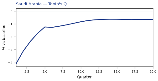 Tobin's Q