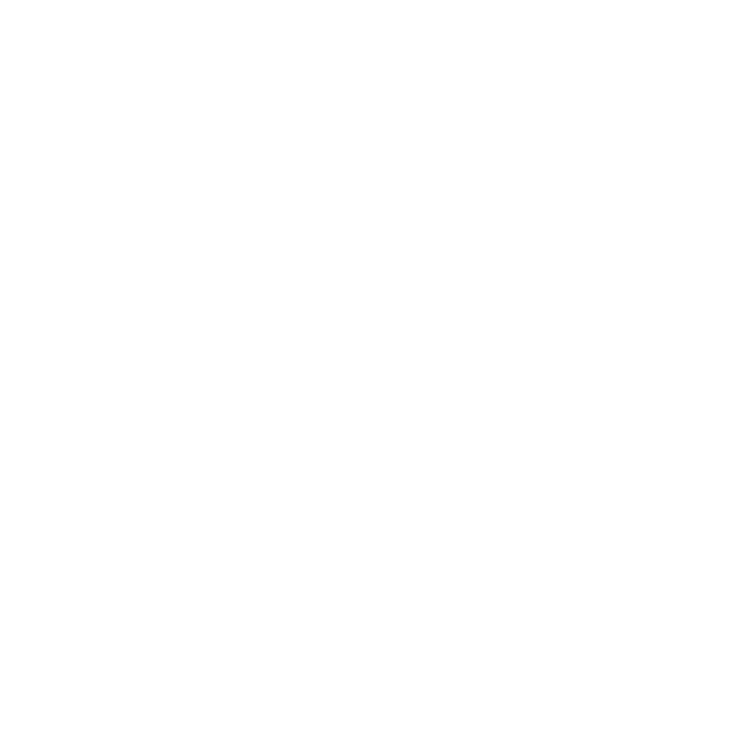 RoboMacro logo
